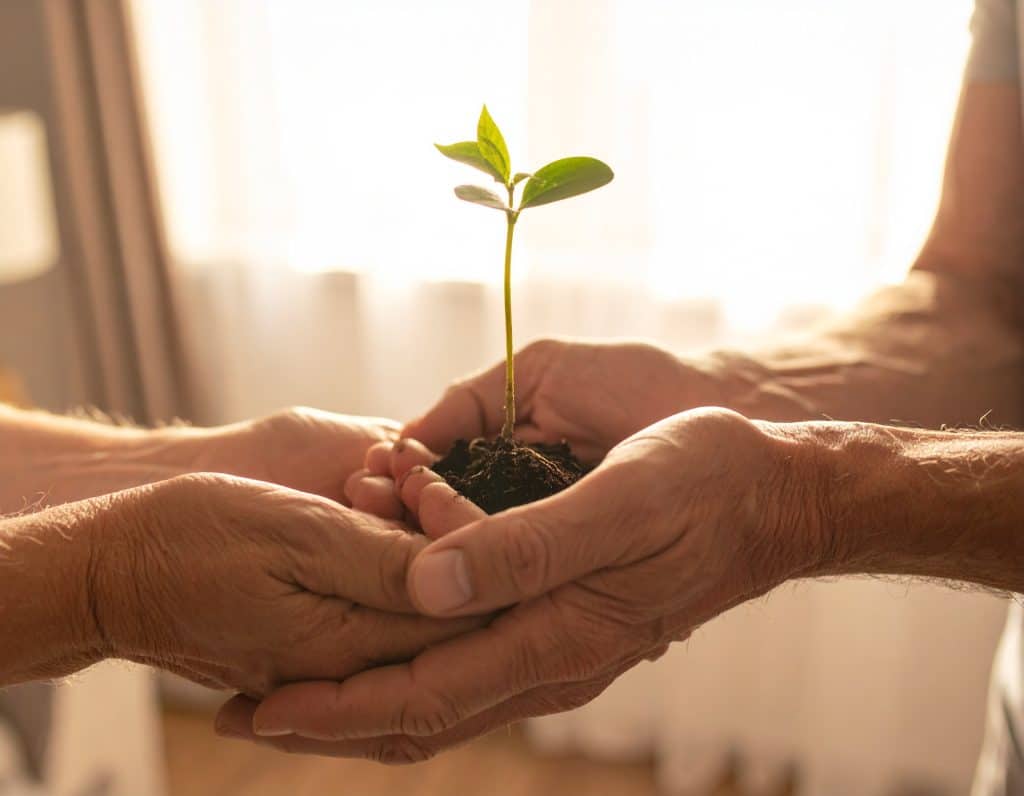 Le mani curate di una persona anziana che depositano con delicatezza una giovane piantina tra le mani di una persona più giovane. L'immagine simbolizza la previdenza funeraria come un gesto di amore e responsabilità, un modo per prendersi cura del futuro dei propri cari pianificando in anticipo.